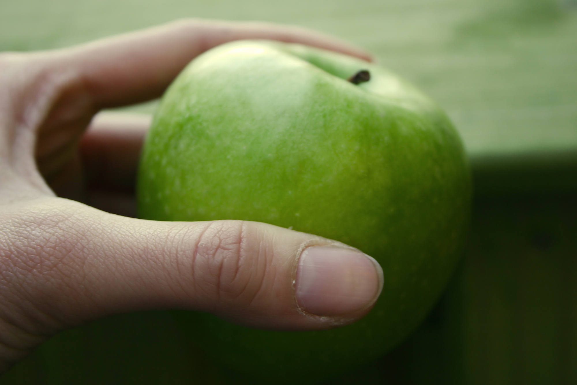 MANIPULADOR DE ALIMENTOS EN RESTAURACIÓN COLECTIVA - SECTOR ALIMENTACIÓN
